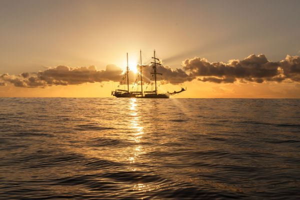 Sailing Ship