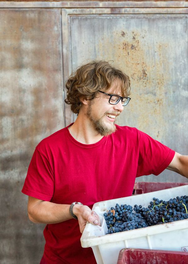 Winemaker
