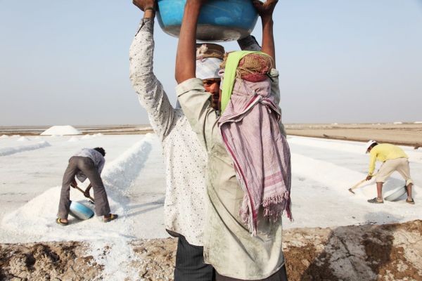 Salt workers clear a large salt pan of prepared salt on the Little Rann of Kutch.