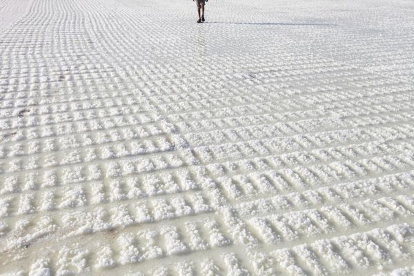 A salt worker walks through a salt pan where the salt is ready to be harvested.