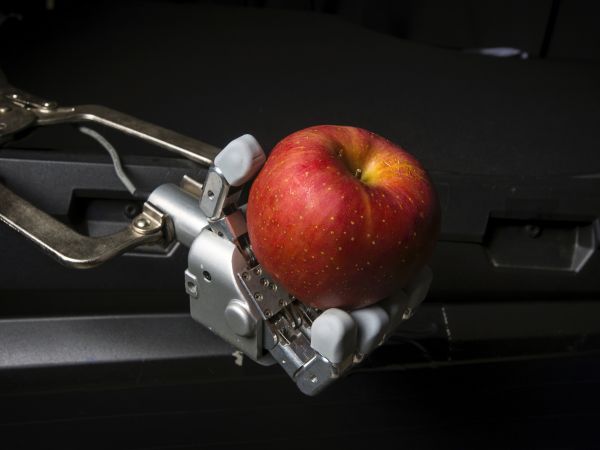 HUBO robot lab in South Korea