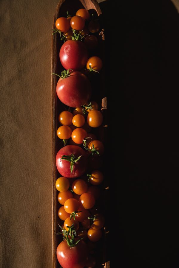 Tomatoes