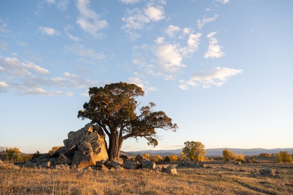 Taylor Glenn Landscape Portfolio