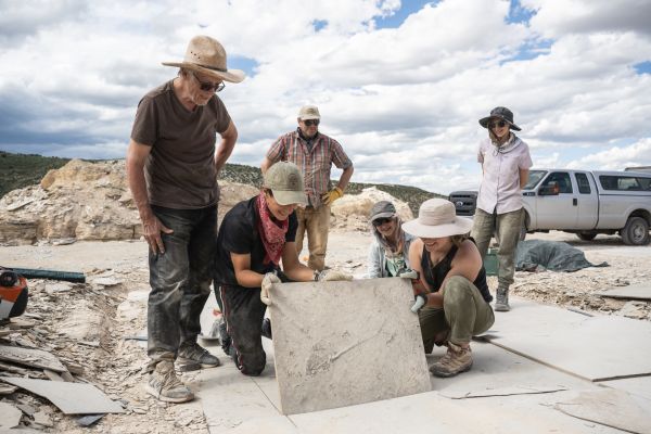 Taylor Glenn Travel Lifestyle Portfolio