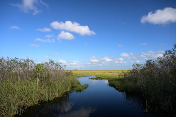 Taylor Glenn Landscape Portfolio