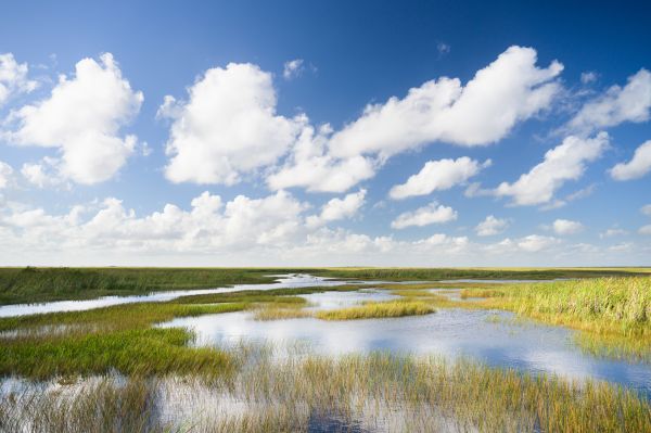 Taylor Glenn Landscape Portfolio