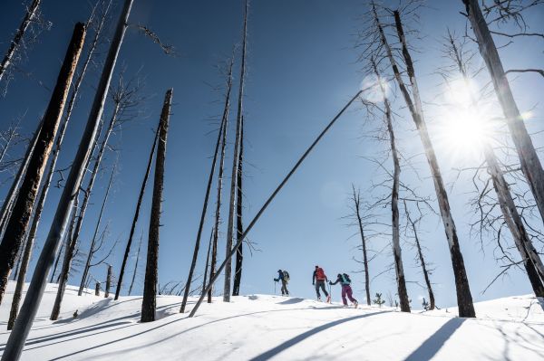 Taylor Glenn Adventure Portfolio