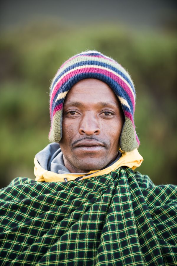 Taylor Glenn Commercial Portfolio