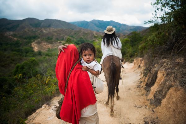 Taylor Glenn Commercial Portfolio