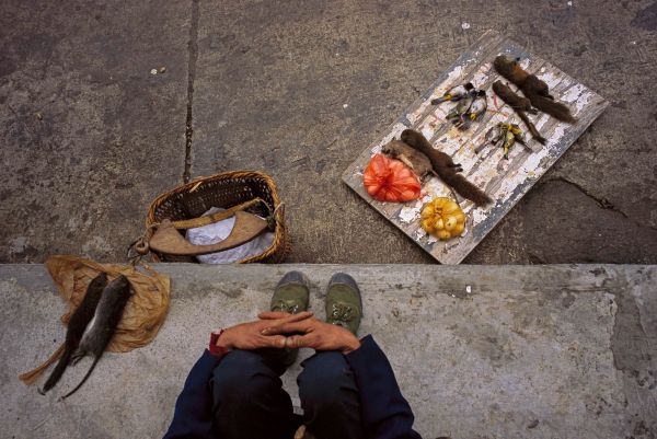Pu Dengyi sits patiently for customers to inspect a variety of game he sells at the weekly market in Lishadi on the Nu (Salween) River in Yunnan, China.