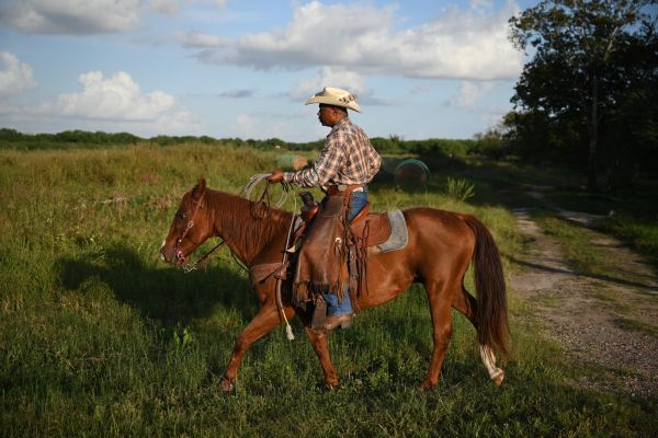 Horse Riding
