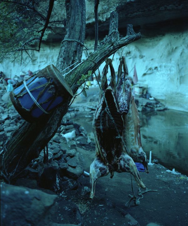 Jillian Edelstein Editorial Portfolio