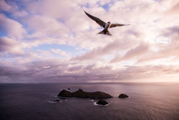 Taylor Glenn Landscape Portfolio