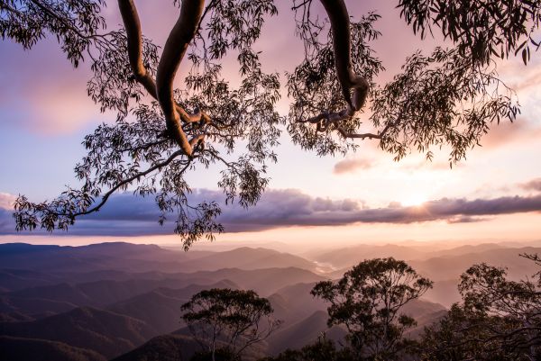 Taylor Glenn Landscape Portfolio