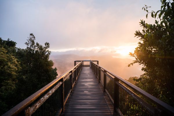 Taylor Glenn Landscape Portfolio