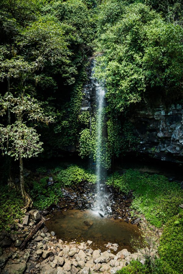 Taylor Glenn Landscape Portfolio