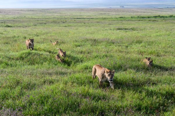 Taylor Glenn Commercial Portfolio