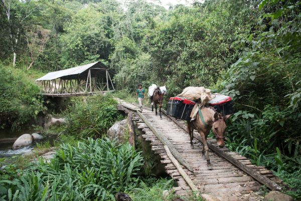 Taylor Glenn Travel Lifestyle Portfolio