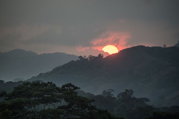 Taylor Glenn Landscape Portfolio