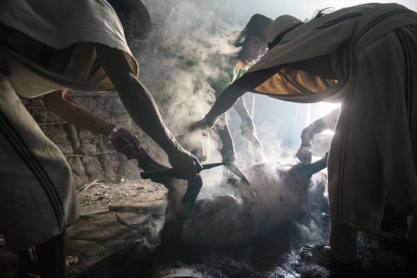 Taylor Glenn Travel Lifestyle Portfolio