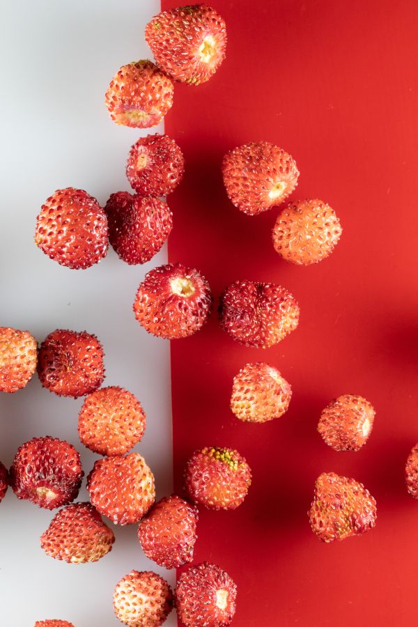 Gabriele Stabile Portfolio