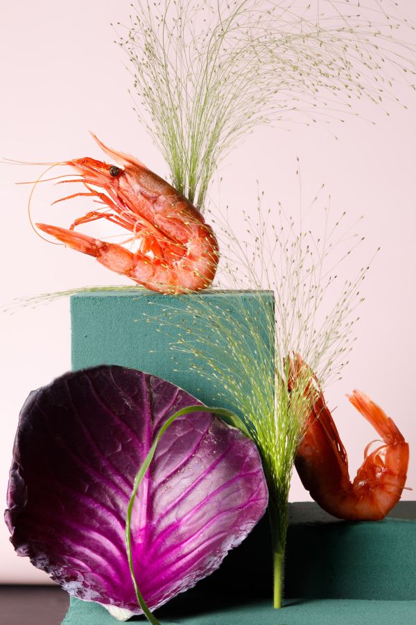 Gabriele Stabile Portfolio