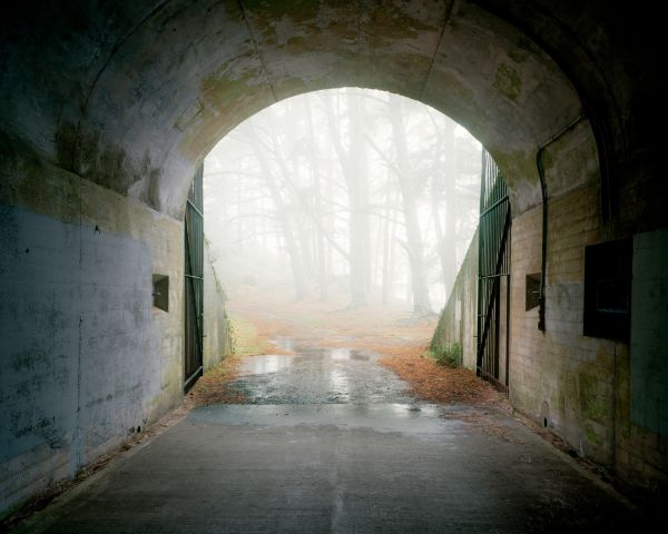 Alex Fradkin Portfolio