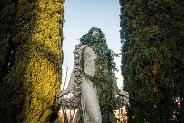 Guido Gazzilli Portfolio