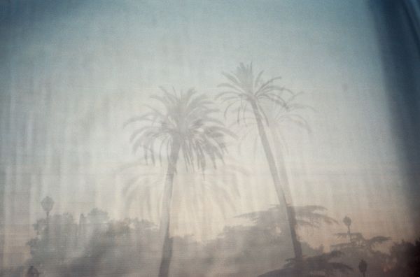 Guido Gazzilli Portfolio