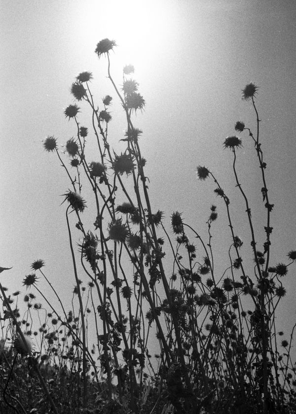 Guido Gazzilli Portfolio