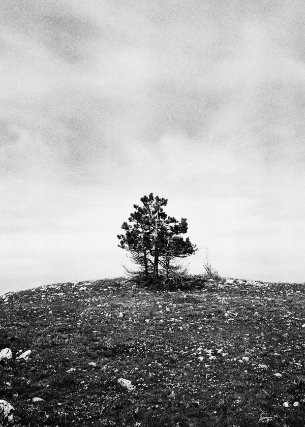 Guido Gazzilli Portfolio