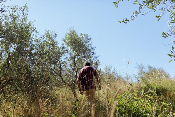 Gabriele Stabile Portfolio