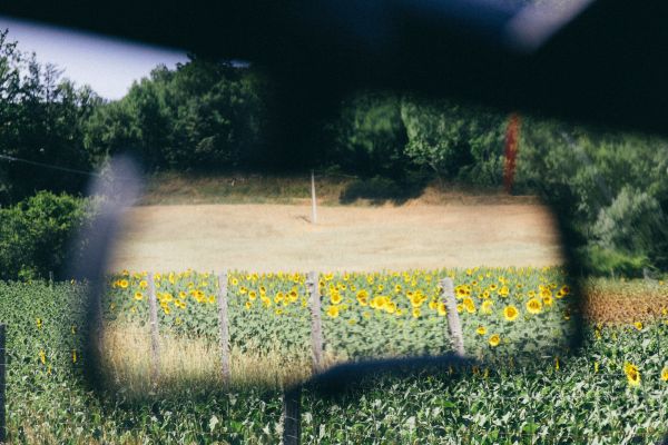 Gabriele Stabile Portfolio