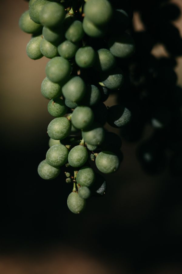 Gabriele Stabile Portfolio