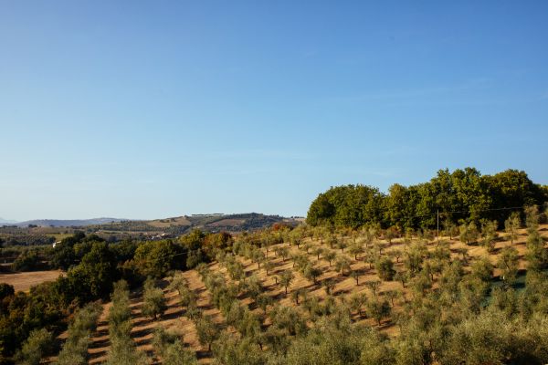 Gabriele Stabile Portfolio