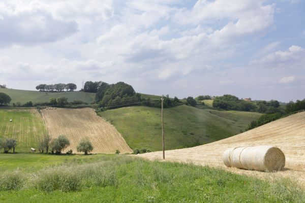 Gabriele Stabile Portfolio