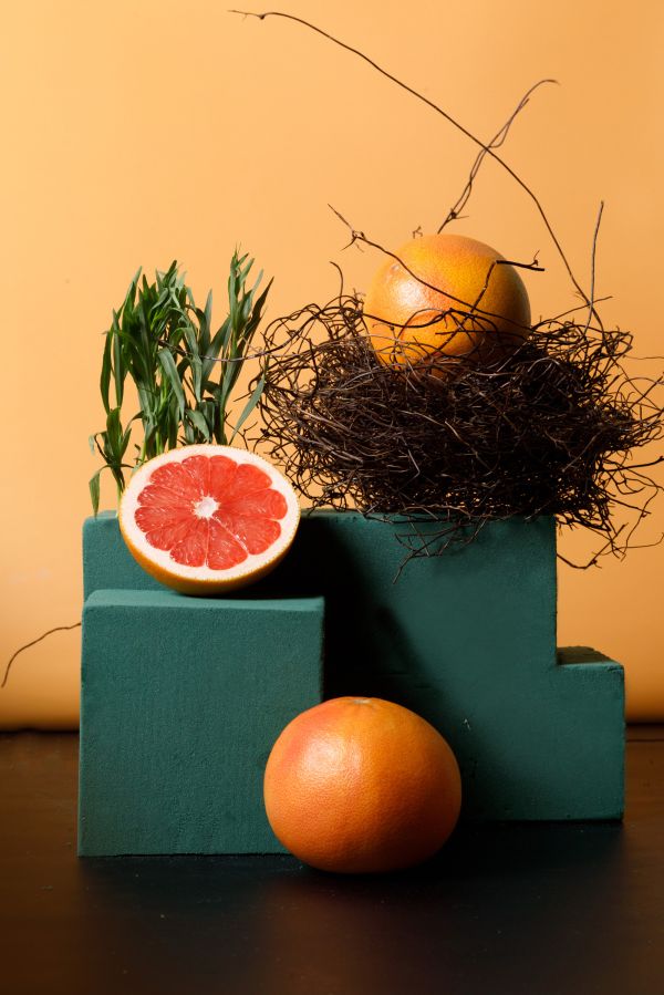 Gabriele Stabile Portfolio