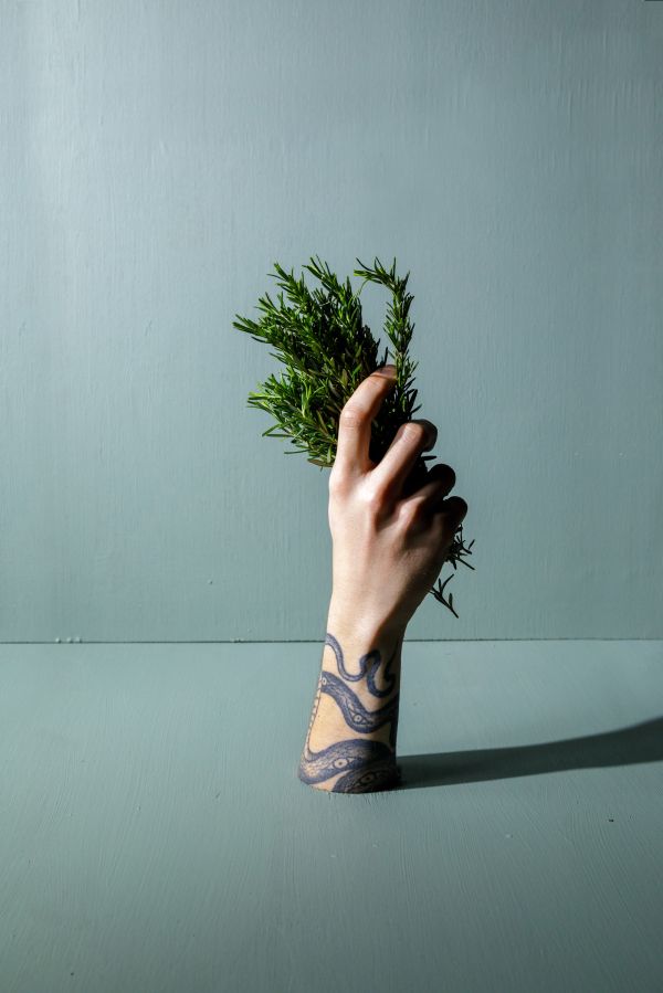 Gabriele Stabile Portfolio