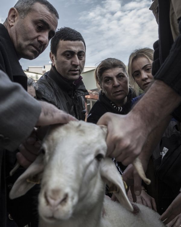 Tommaso Ausili Portfolio