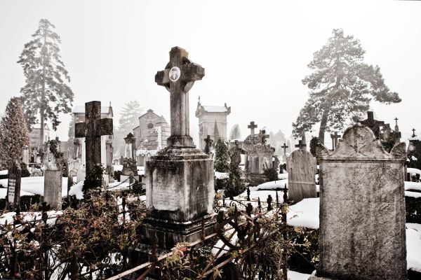 Tommaso Ausili Portfolio