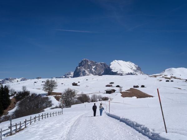 Lorenzo Pesce Portfolio