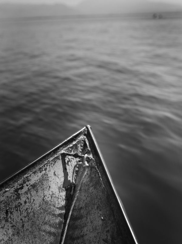 Lorenzo Pesce Portfolio