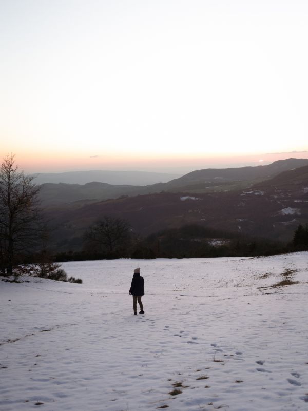 Lorenzo Pesce Portfolio