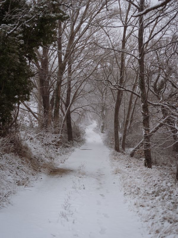 Lorenzo Pesce Portfolio