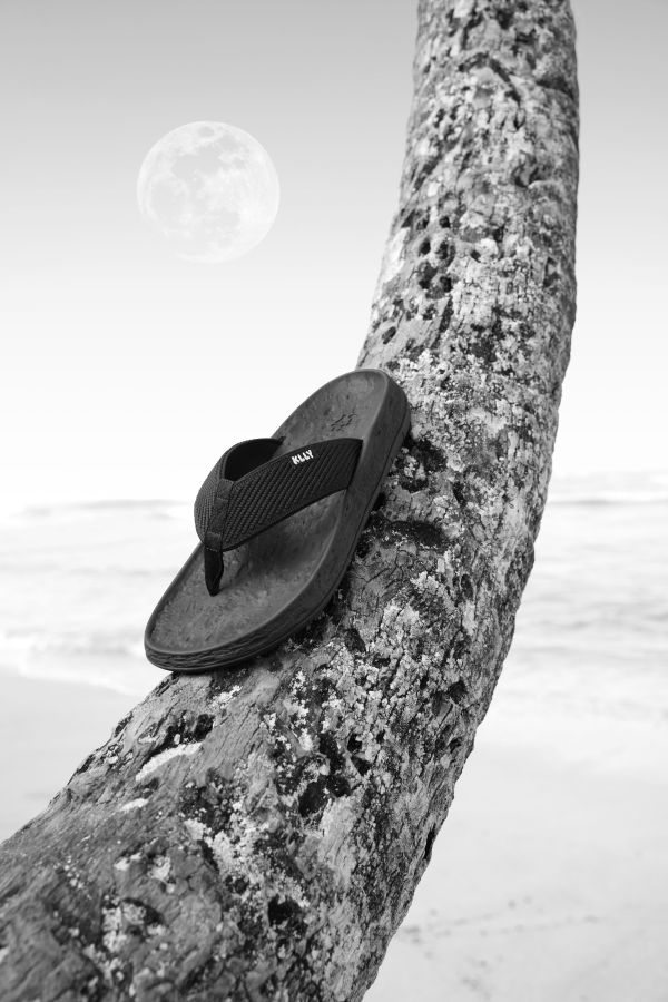 Brad Swonetz Portfolio