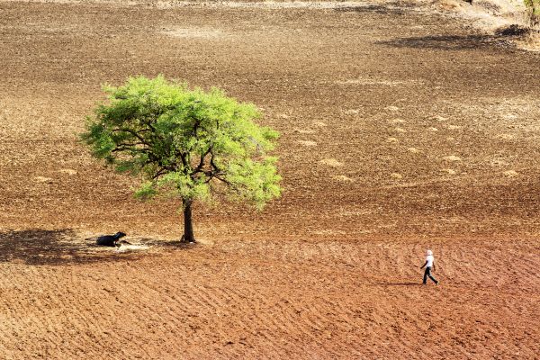 Sean Gallagher Editorial Portfolio