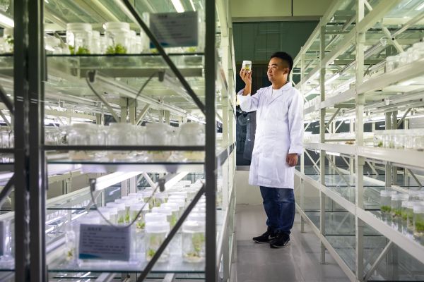 Sean Gallagher Commercial Portfolio