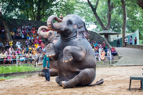 Sean Gallagher Editorial Portfolio